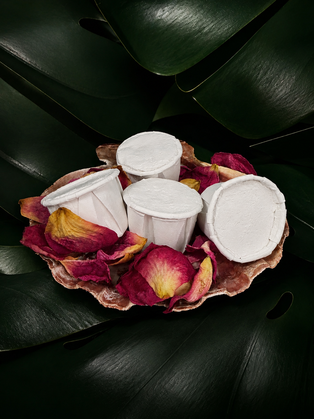 Cascarilla | 2 Pieces