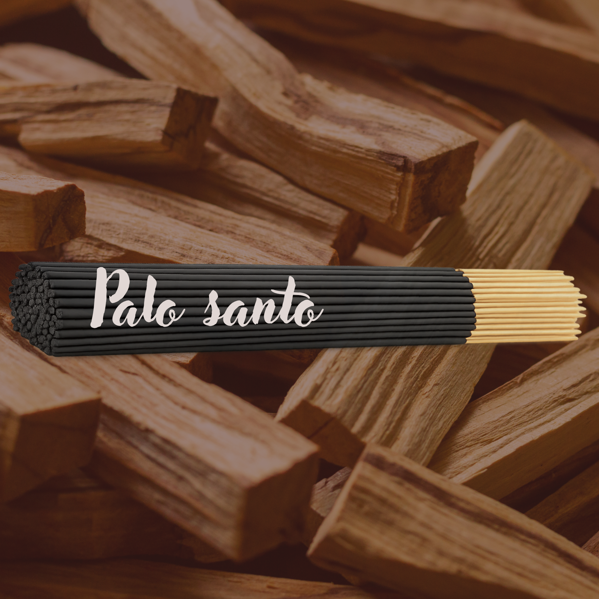 Palo Santo Incense Sticks | 10 Pack