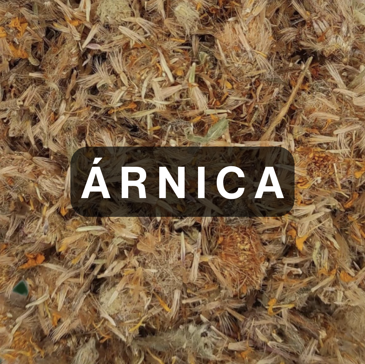 Árnica · Mexican Arnica Flower — 1 oz