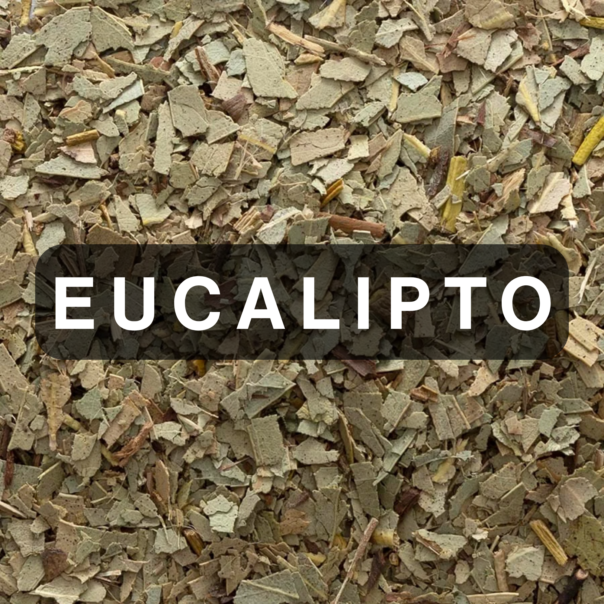 Eucalyptus hero.png