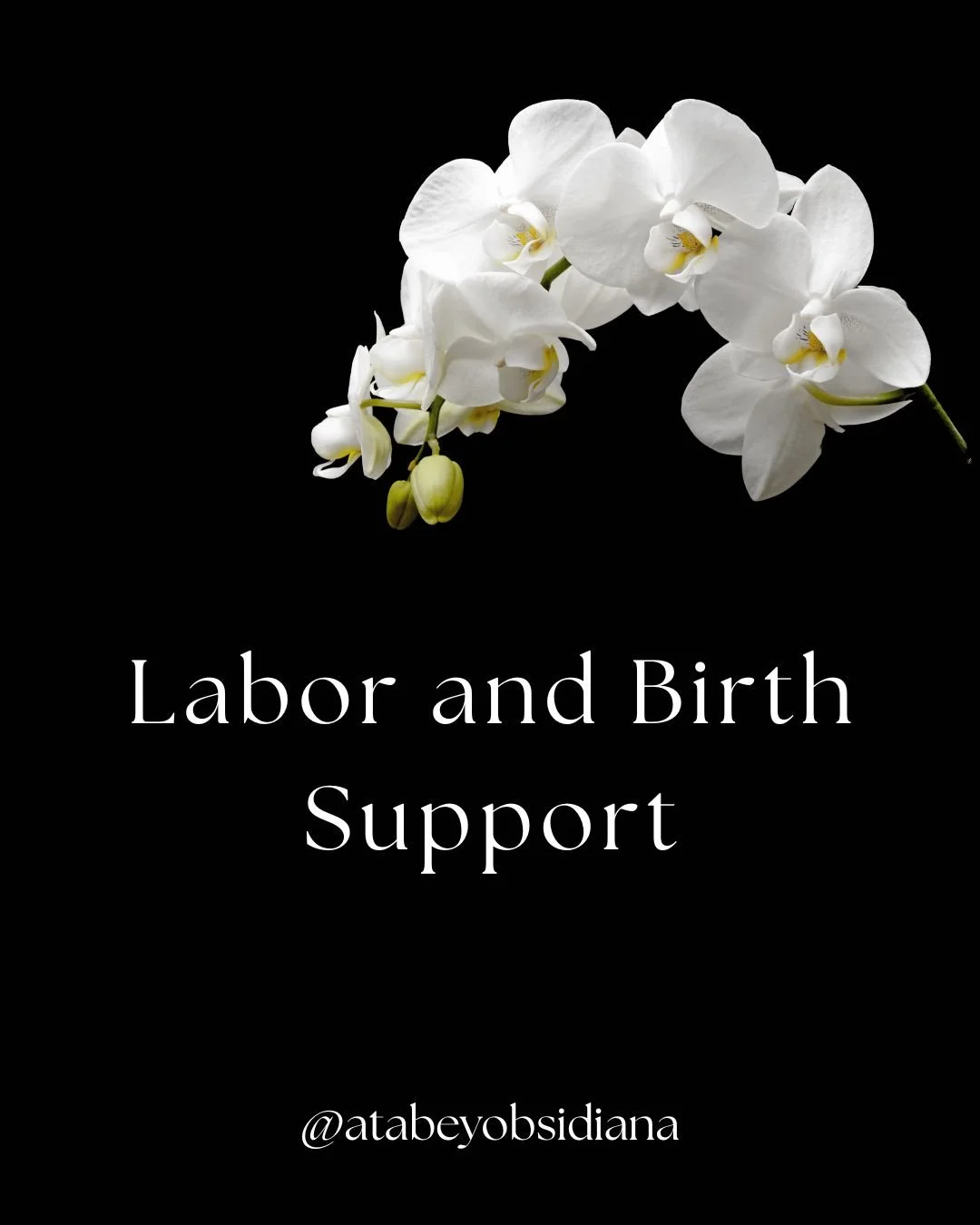 Labor and Birth Support