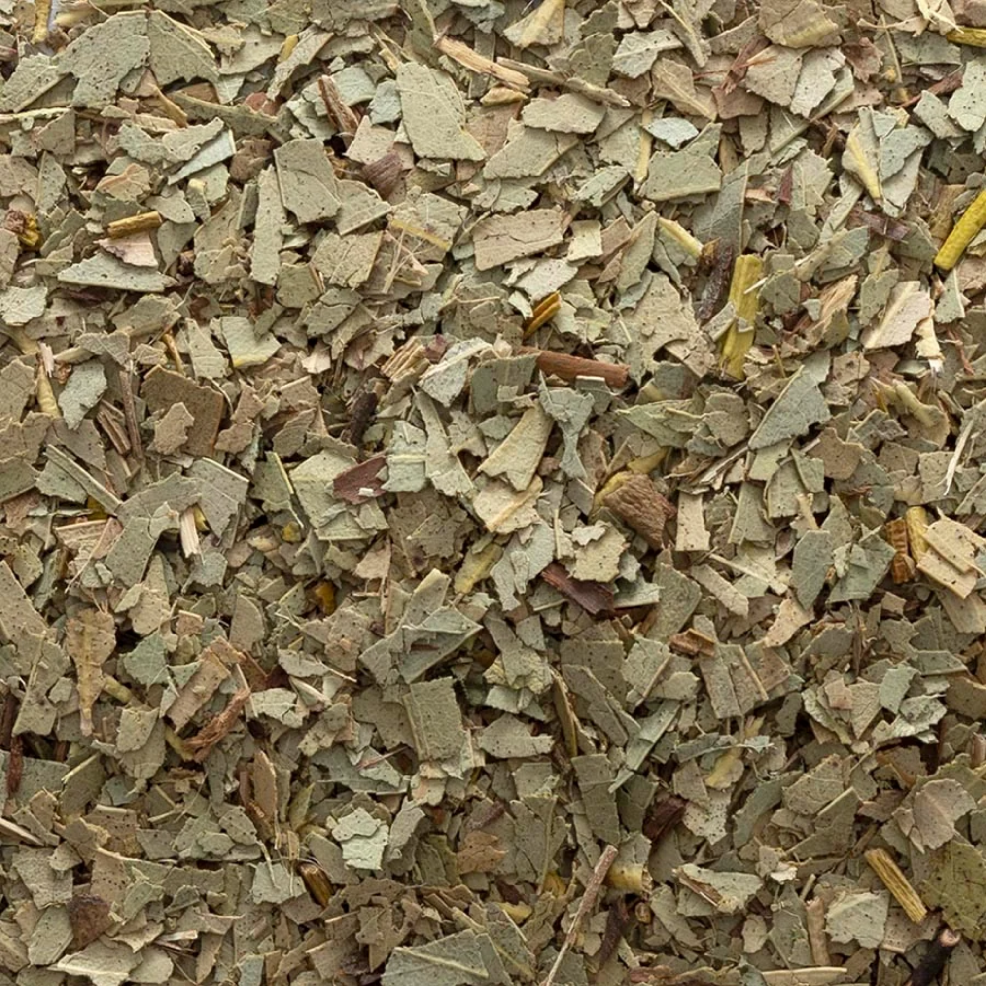 Eucalyptus dried.png