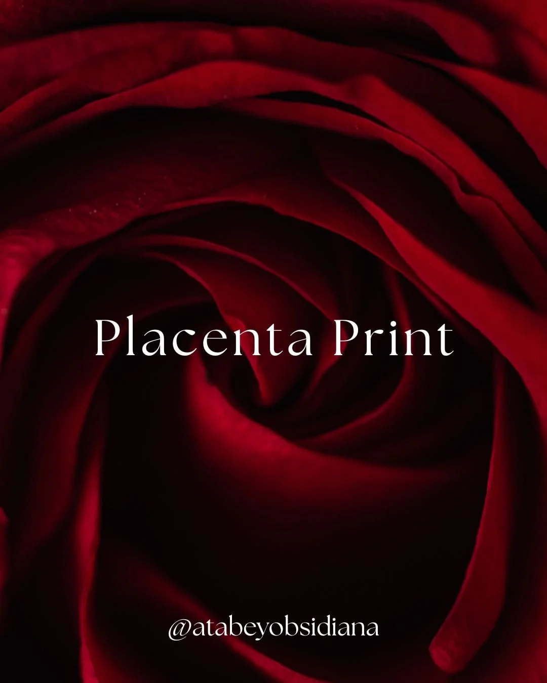 Placenta Print