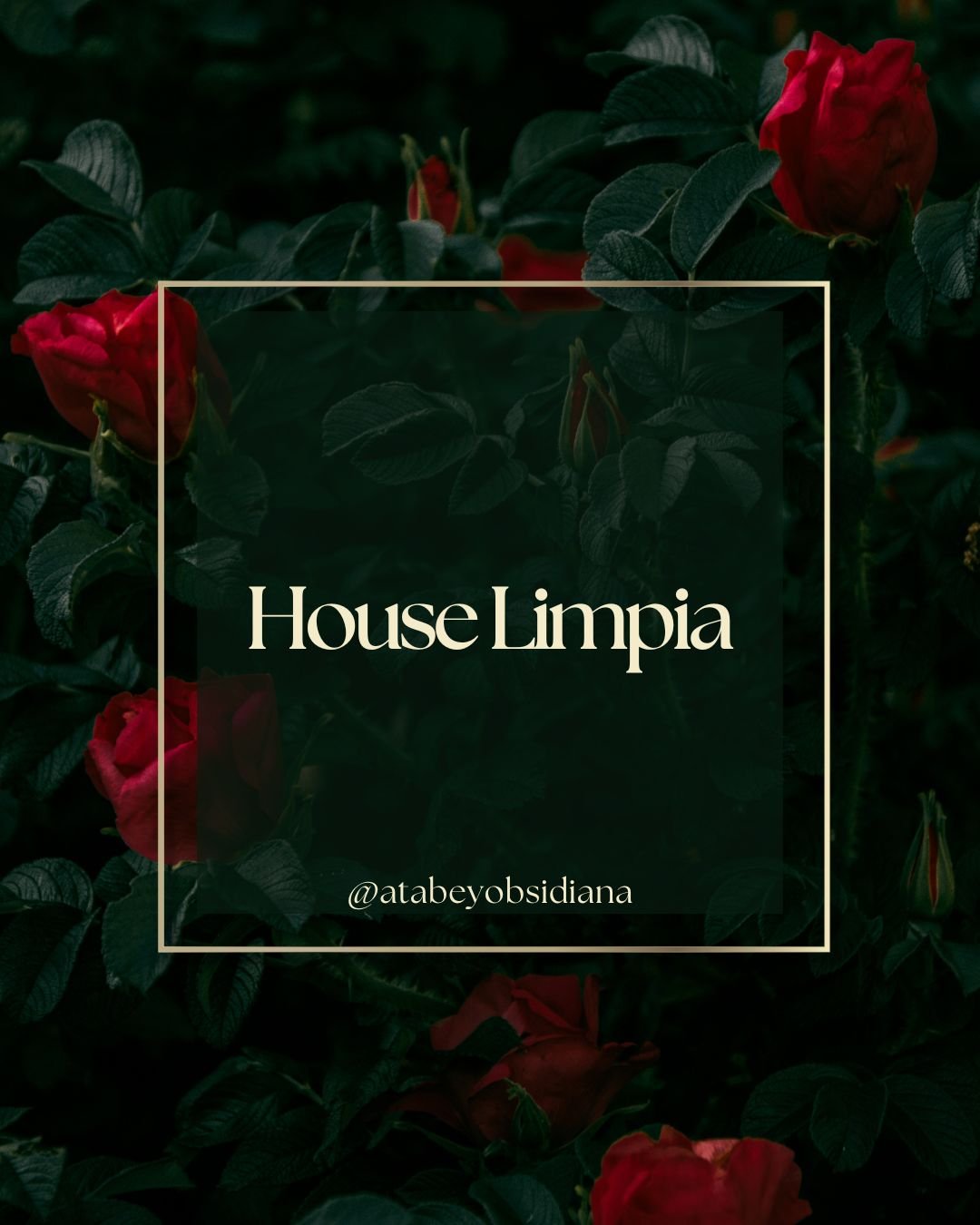 House Limpia