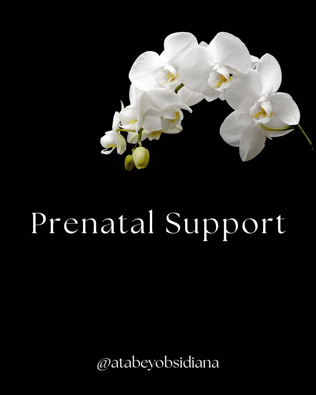Prenatal Support