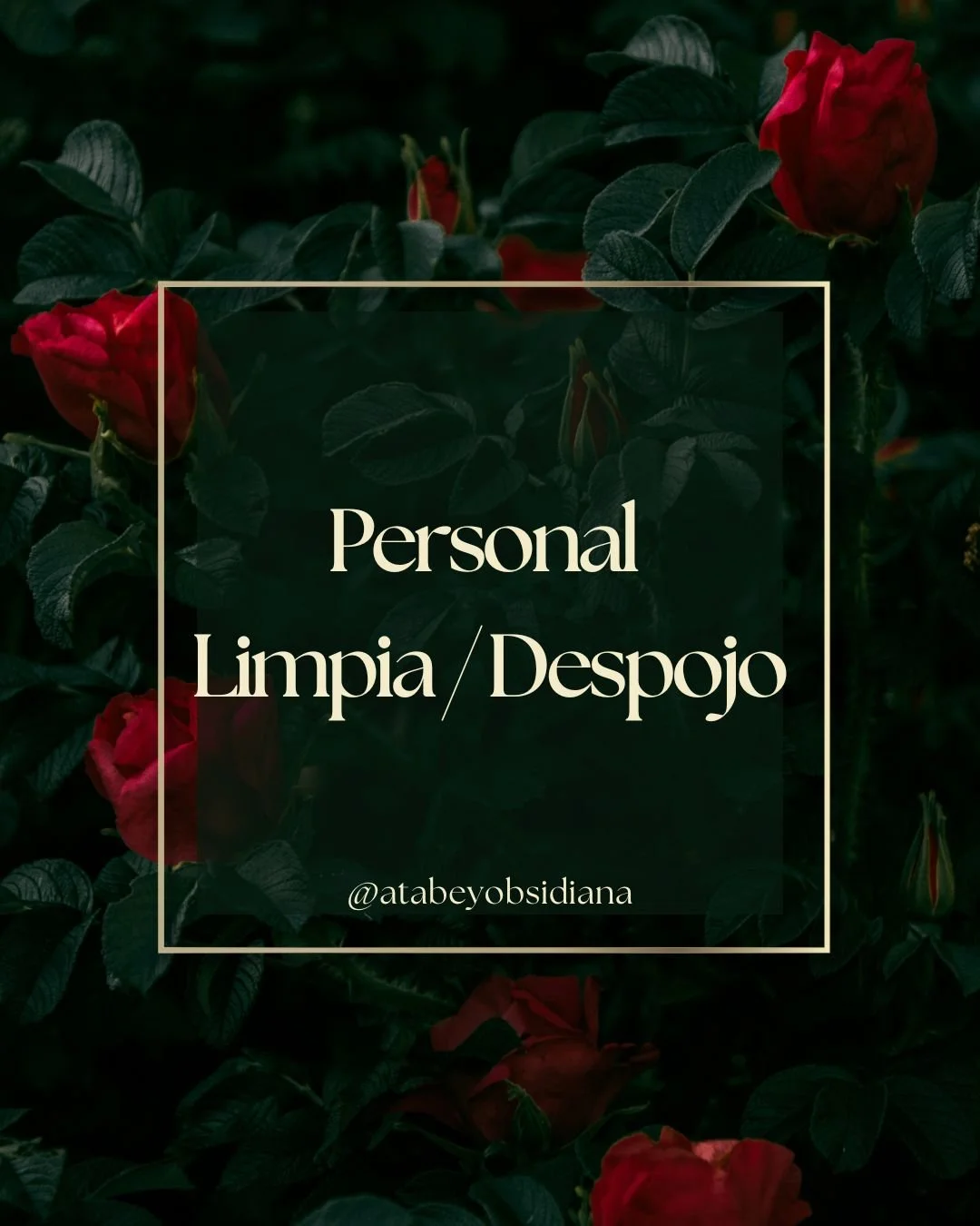 Personal Limpia / Despojo