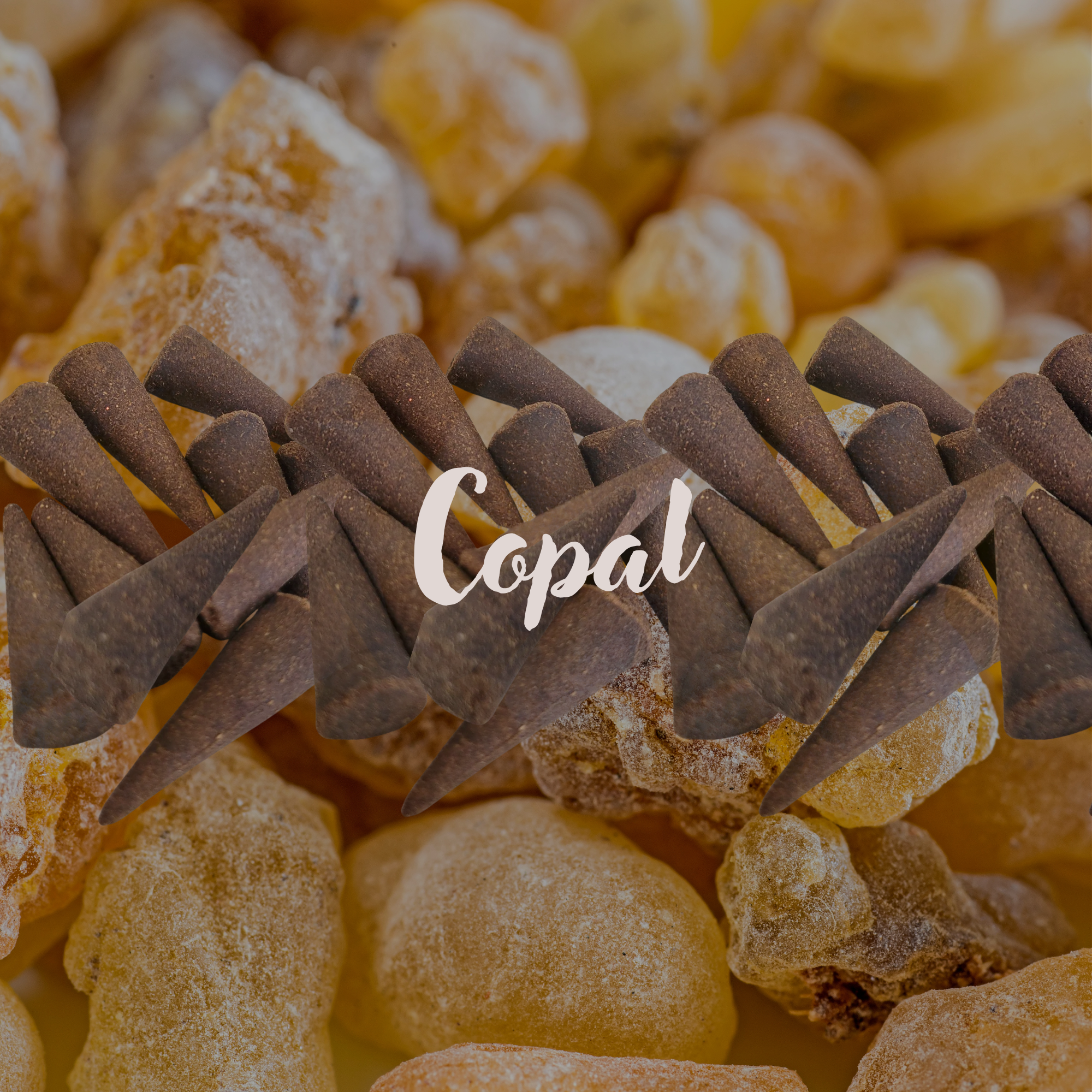Copal cones.png