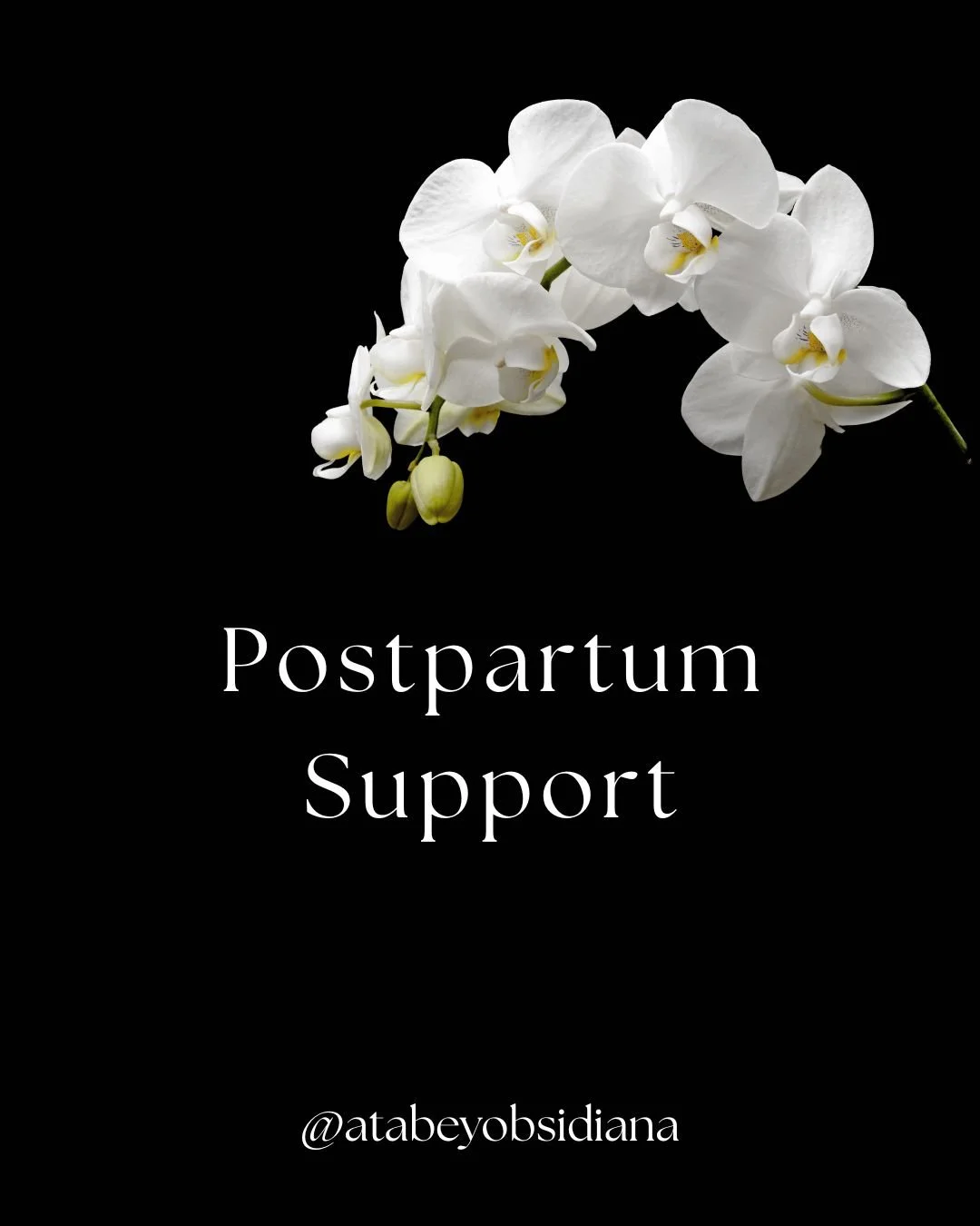 Postpartum Support