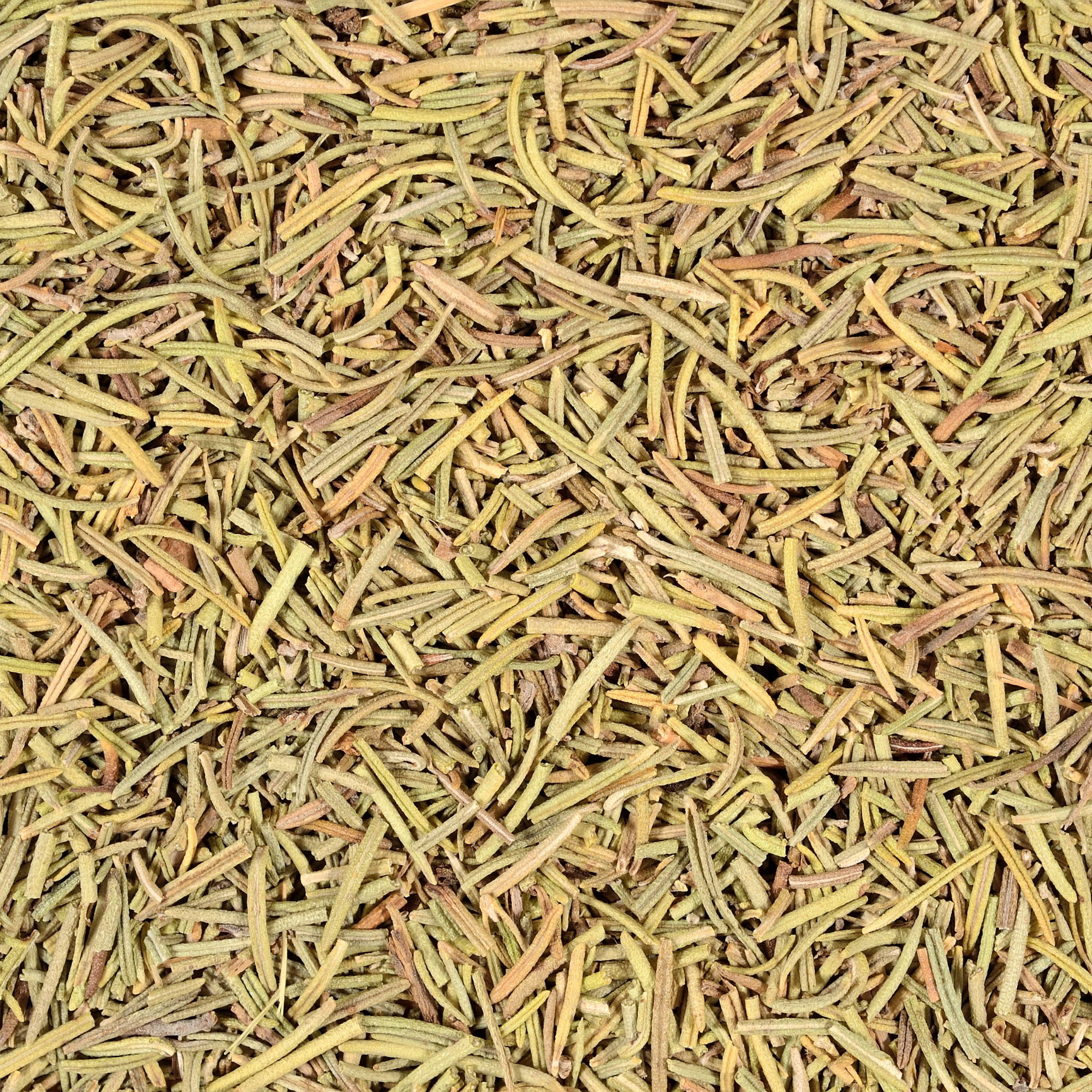 Eucalyptus fresh (3).png