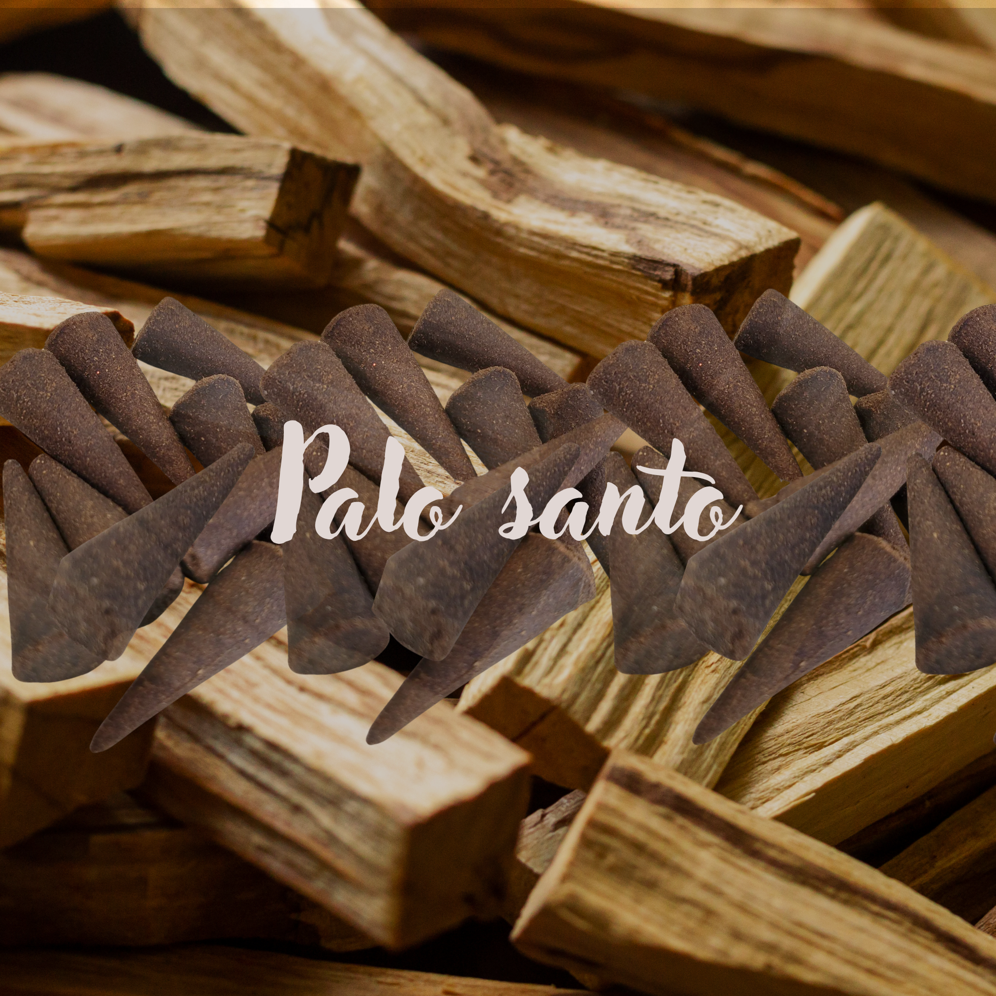 Palo Santo Incense Cones | 10 Pack