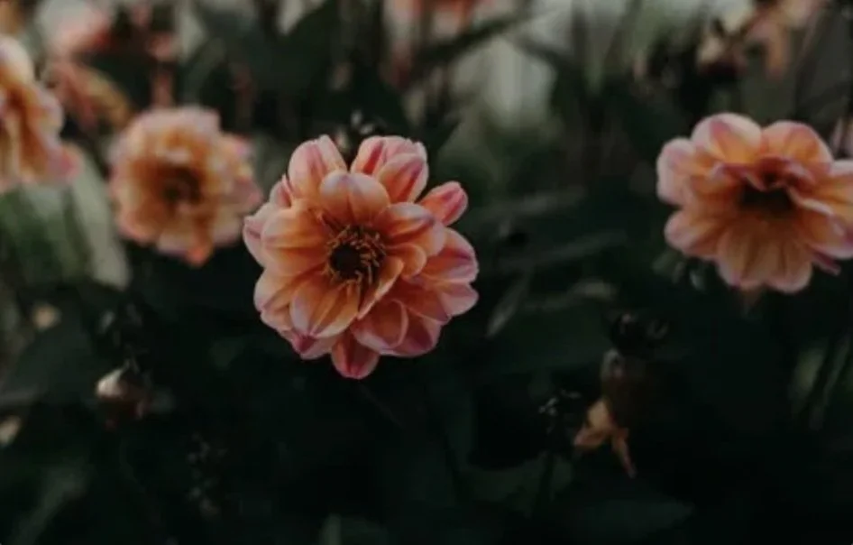 Vigil Planning Session