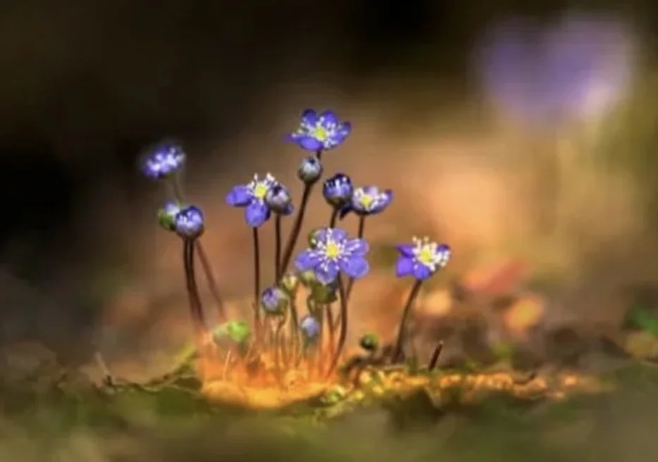 Legacy & Reflection Session