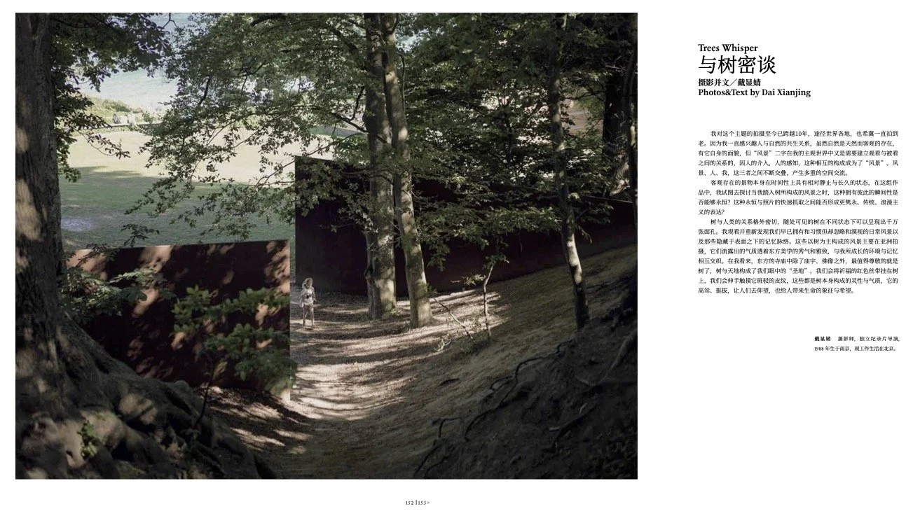 与树密谈(1).jpg