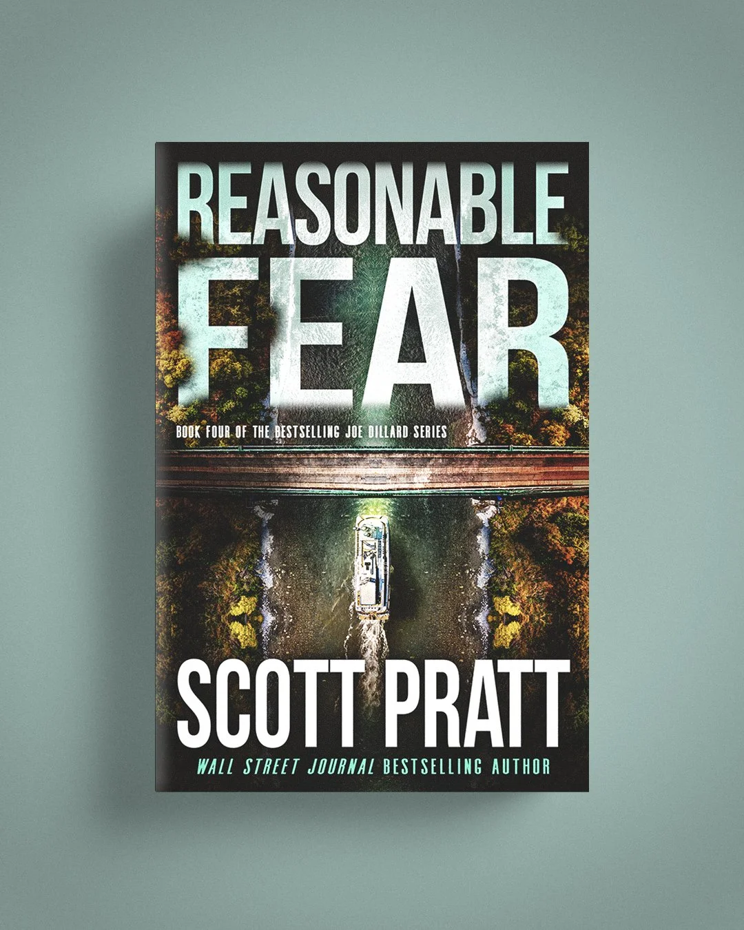 Reasonable Fear 2.jpg