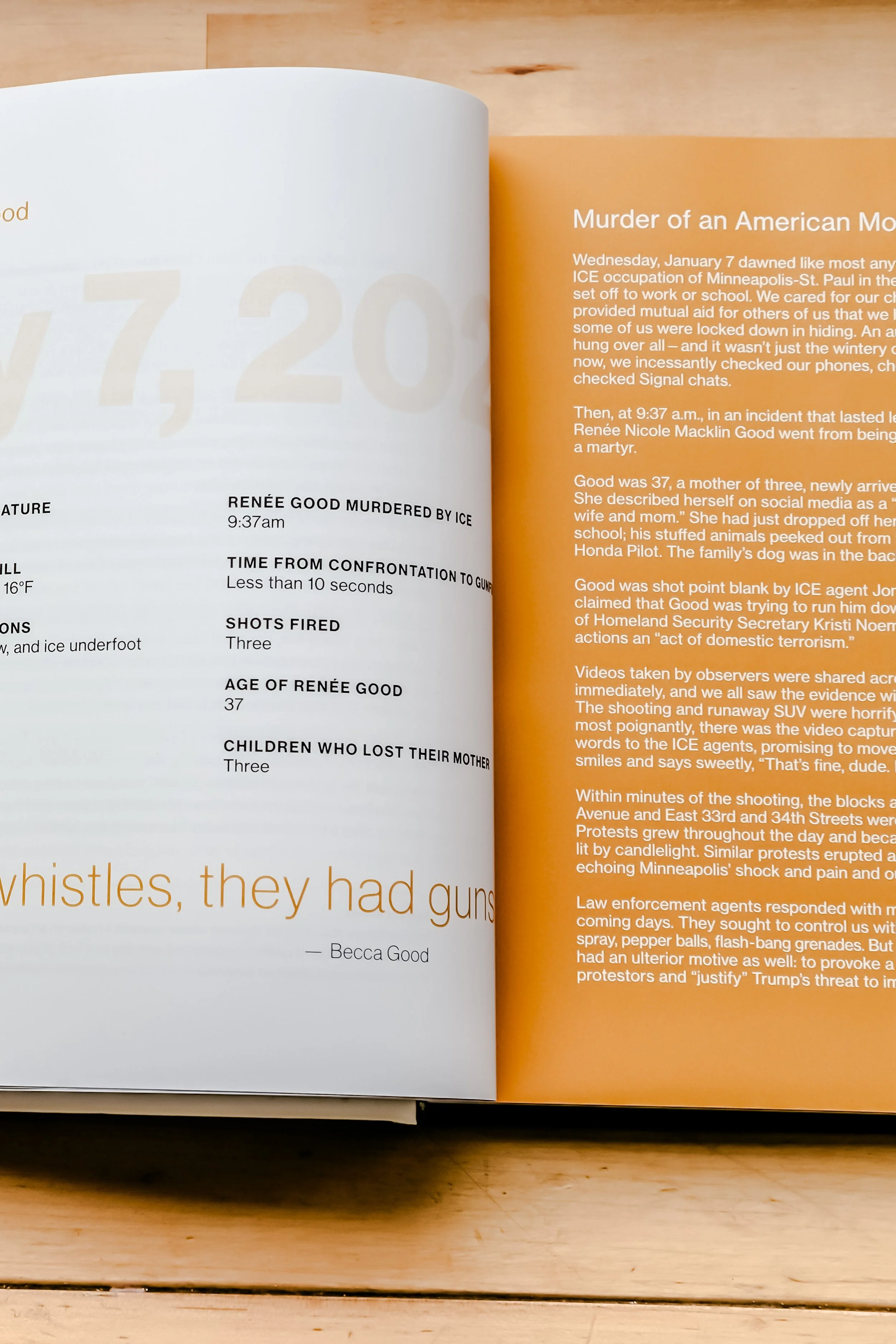 TheRebelLoonArchiveBookPhotosAugust2026-WhatWeSawStories-MichaelaRai-5166.jpg (Copy)