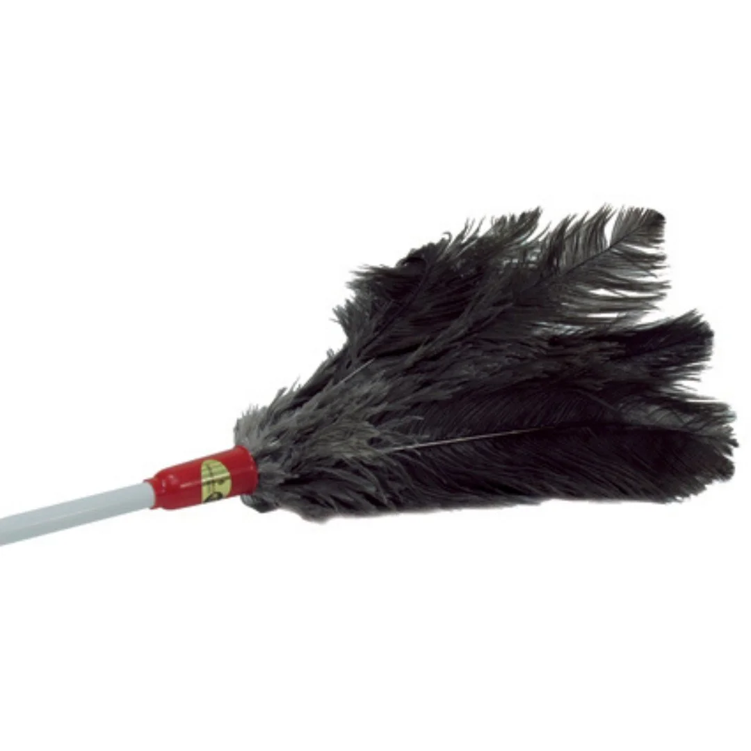 Feather Duster.jpg