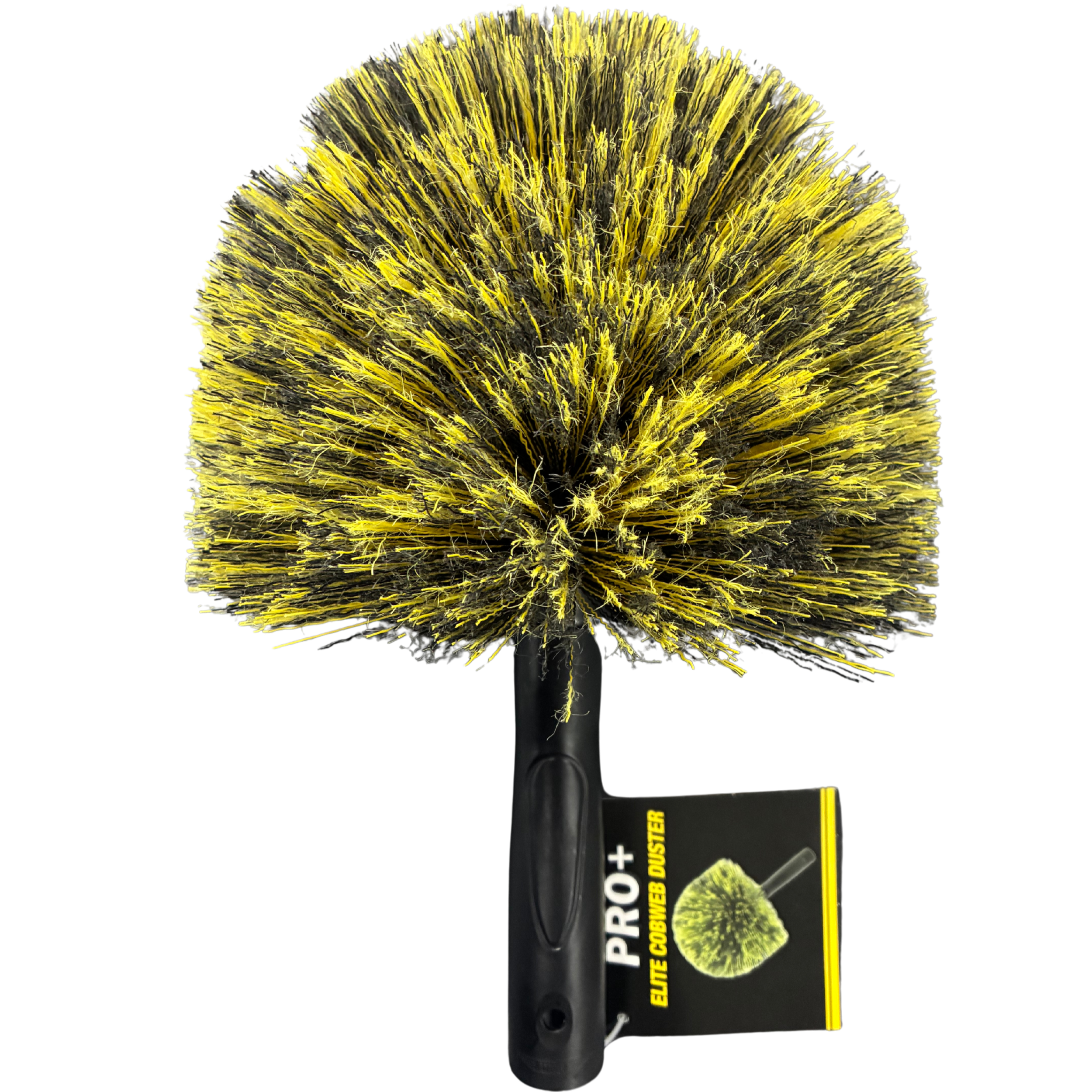 Cobweb head.png