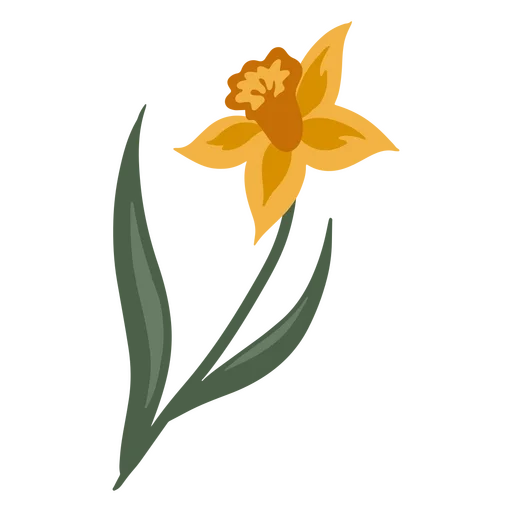 A yellow daffodil flower with green leaves.