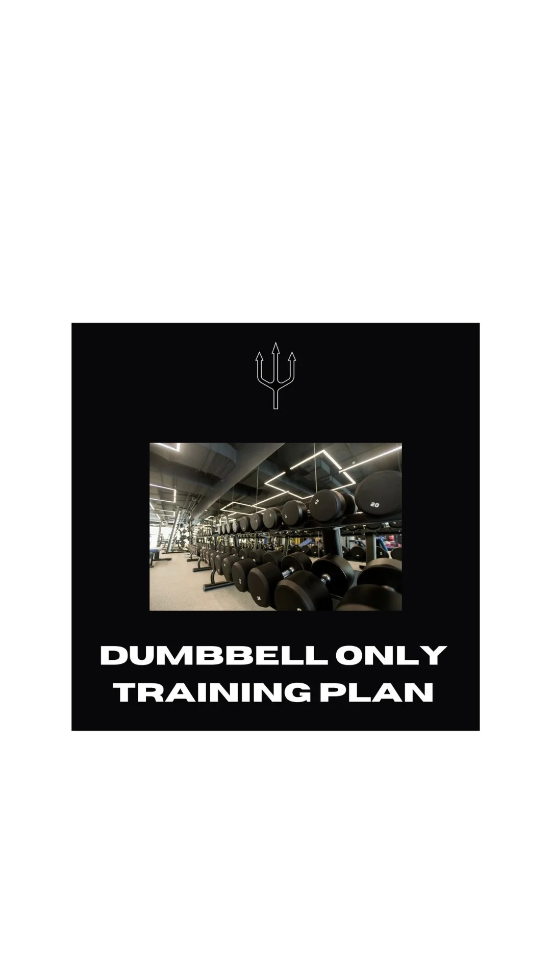 Dumbbell only training plan