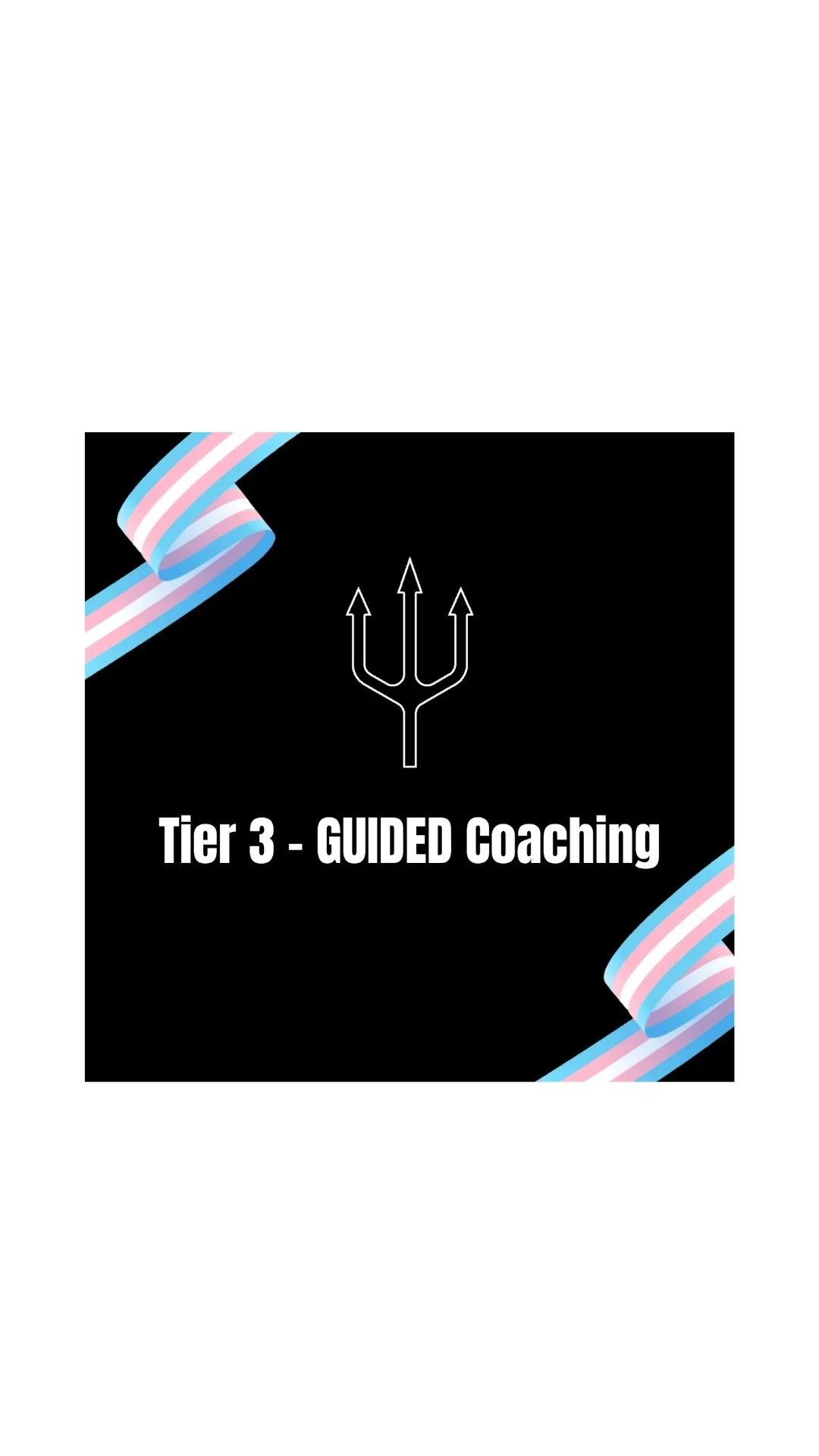 Guided Coaching
