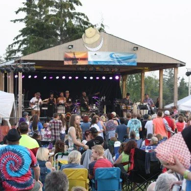 An outdoor concert with a band performing on stage and a crowd watching, with some people seated and others standing, in a park setting.