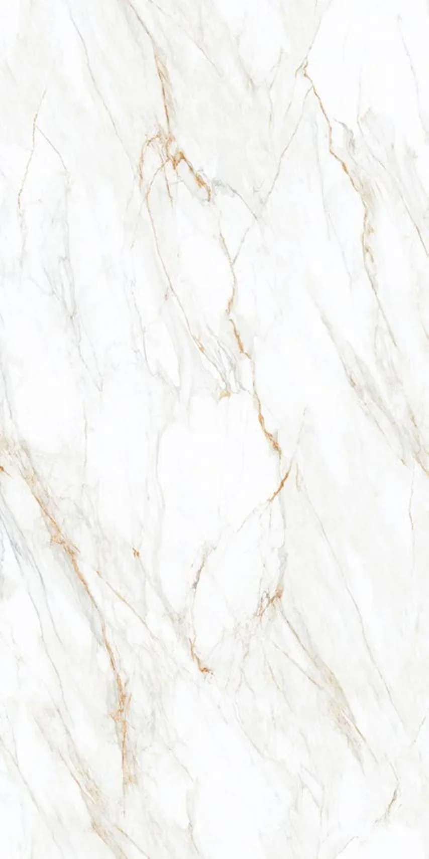 Calacatta Borghini Gold