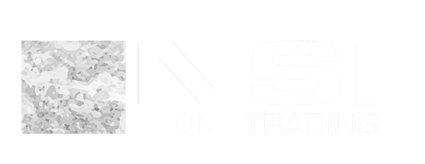 nsi-logo-white.png