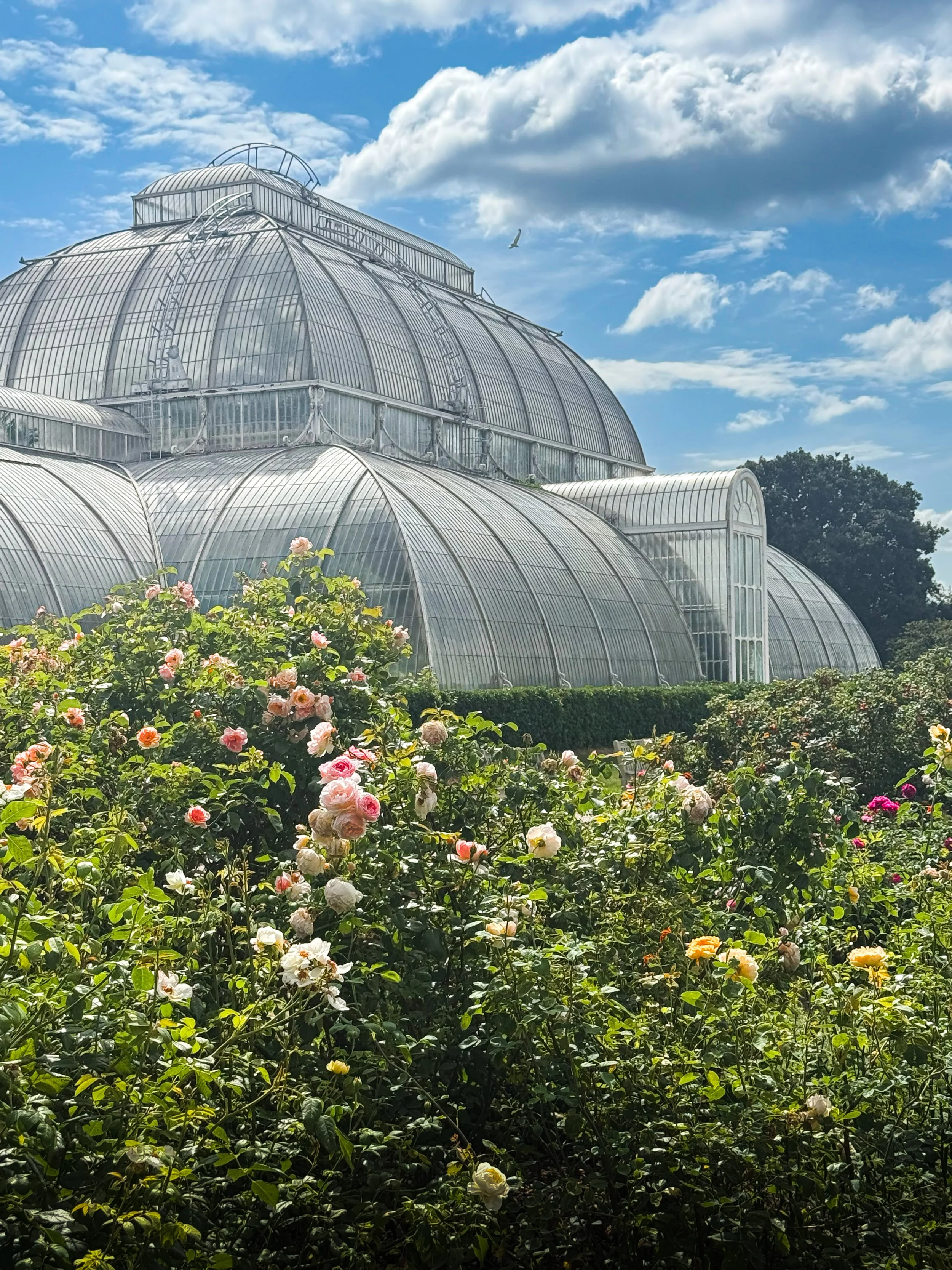 Queen Garden (framing).jpg