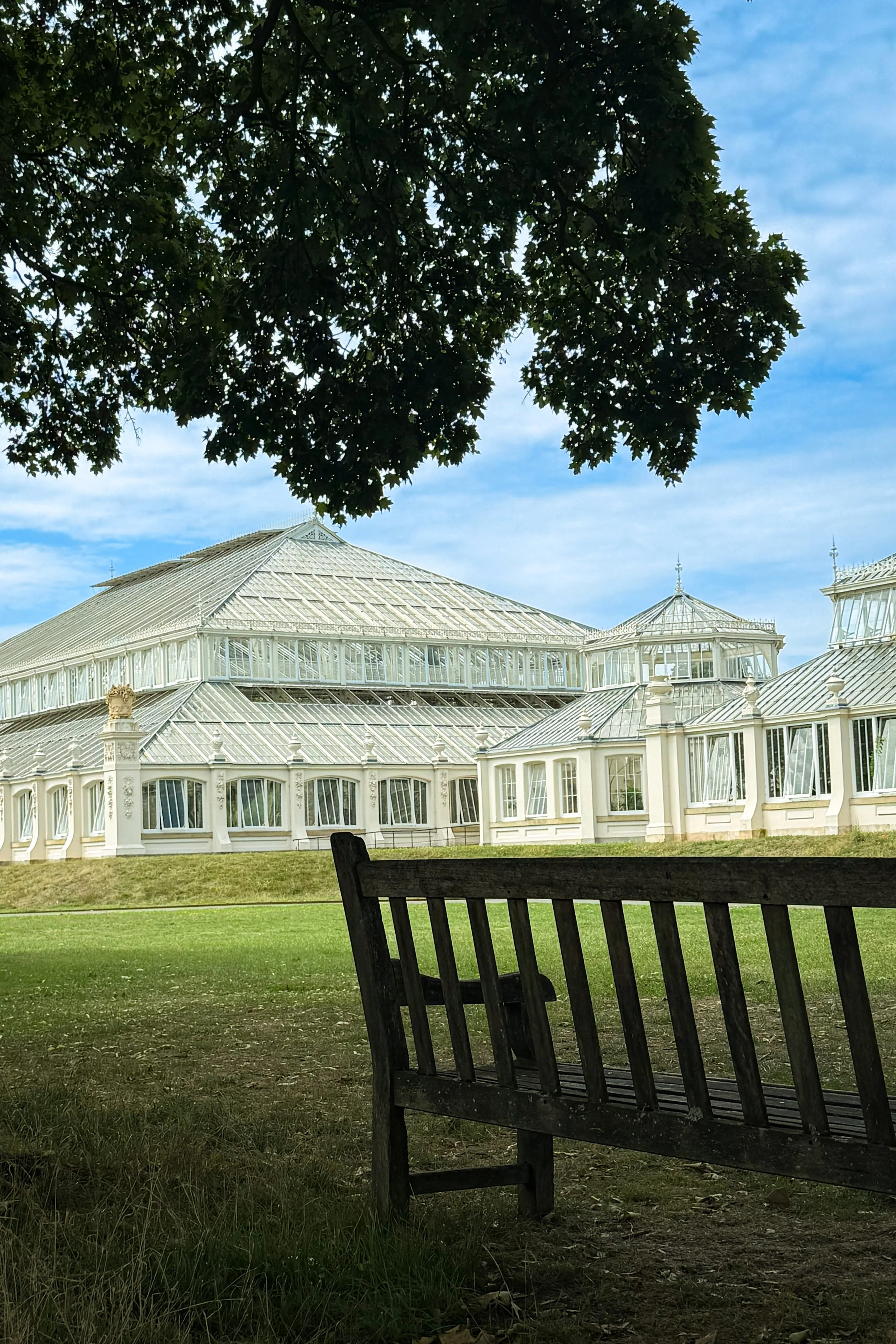 Queen Garden (bench).jpg