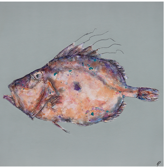 Large John Dory