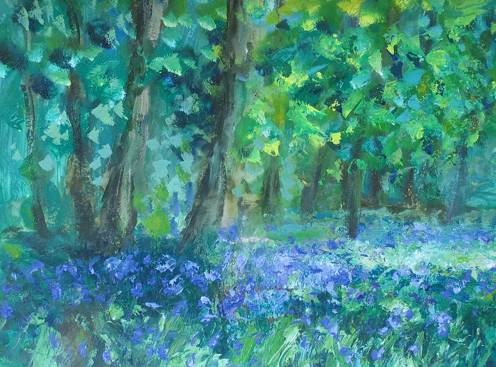 Bluebell Woods 