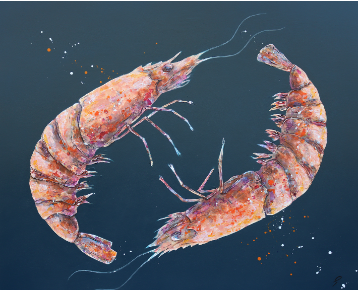 Two Madagascan Tiger Prawns