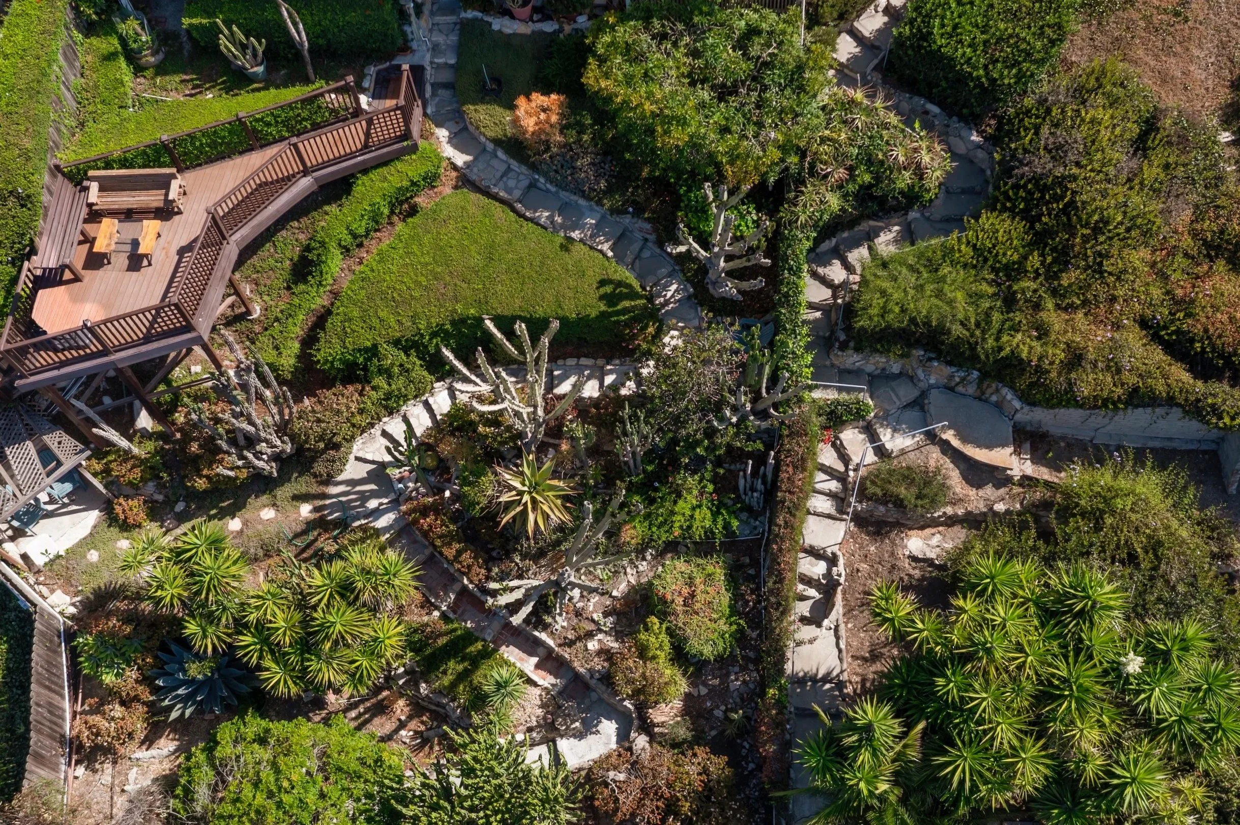 DJI_0597+copy.jpg