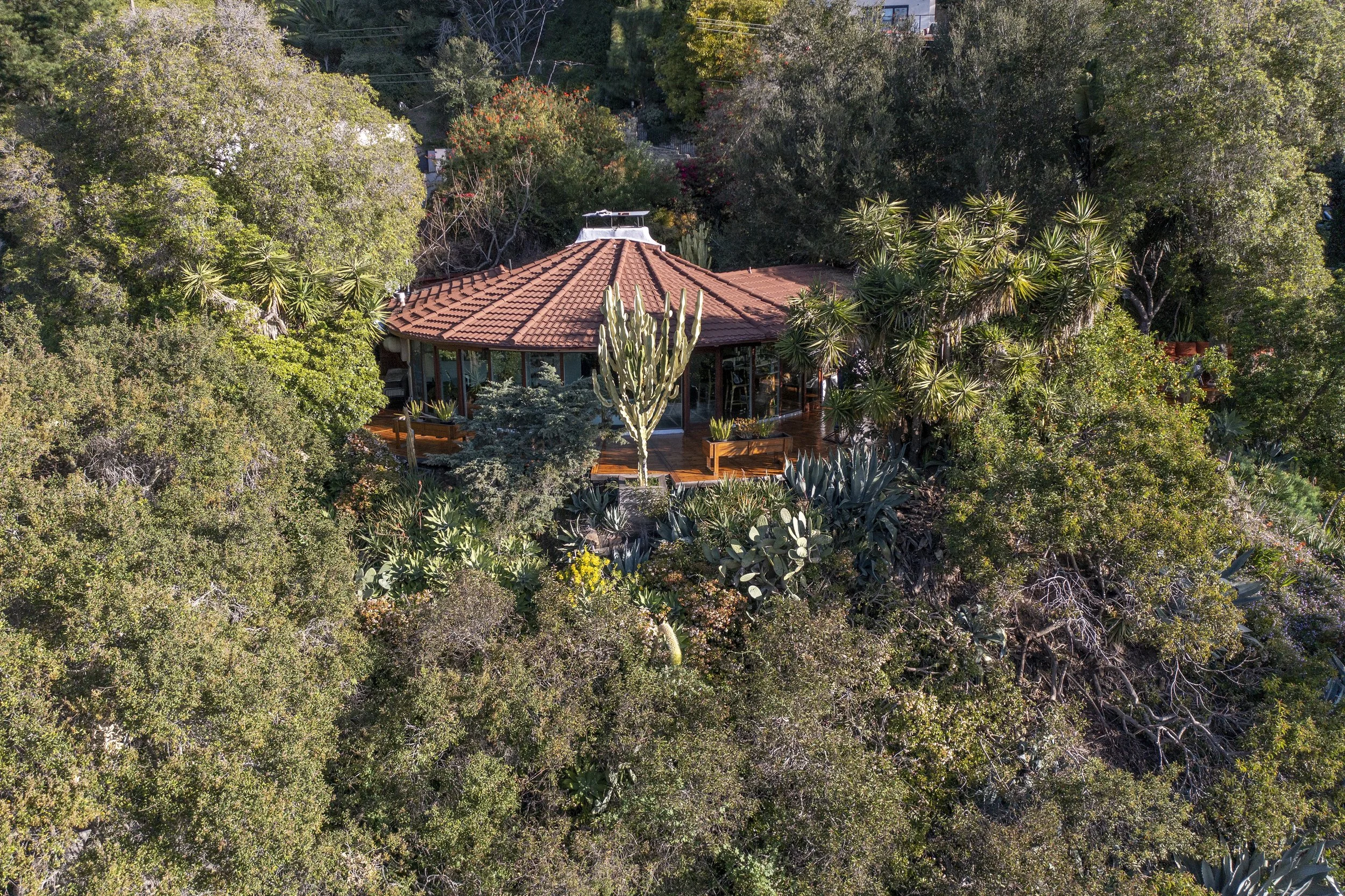 A house with a red-tiled roof surrounded by lush greenery and tall desert plants, visible from an aerial view.