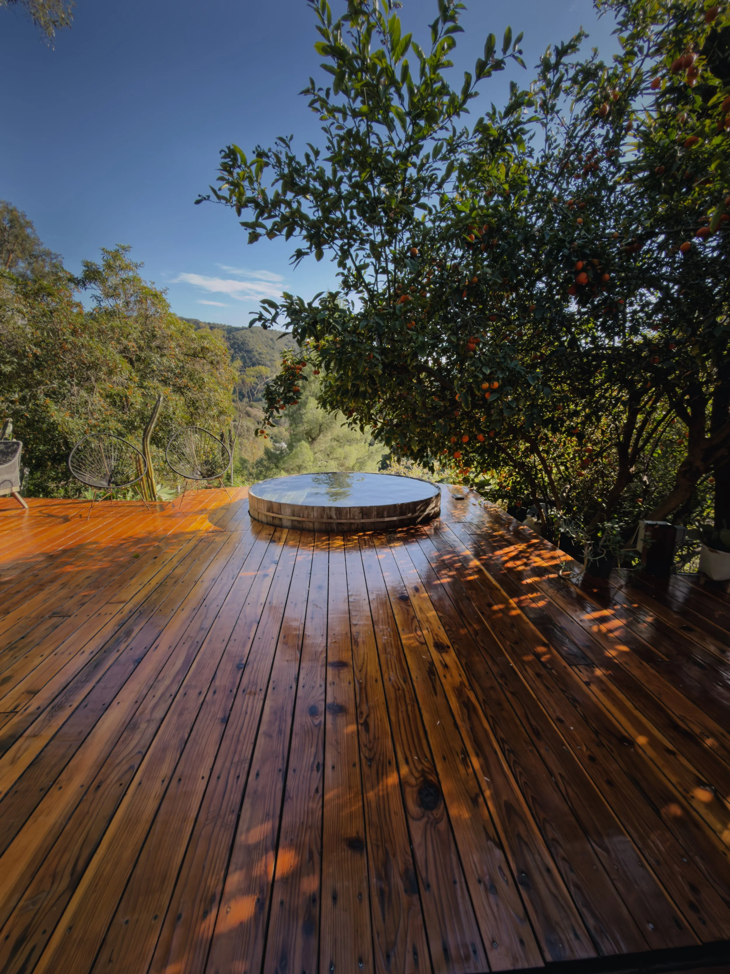 A wooden deck with a hot tub, surrounded by trees with orange fruit, under a blue sky with some clouds.
