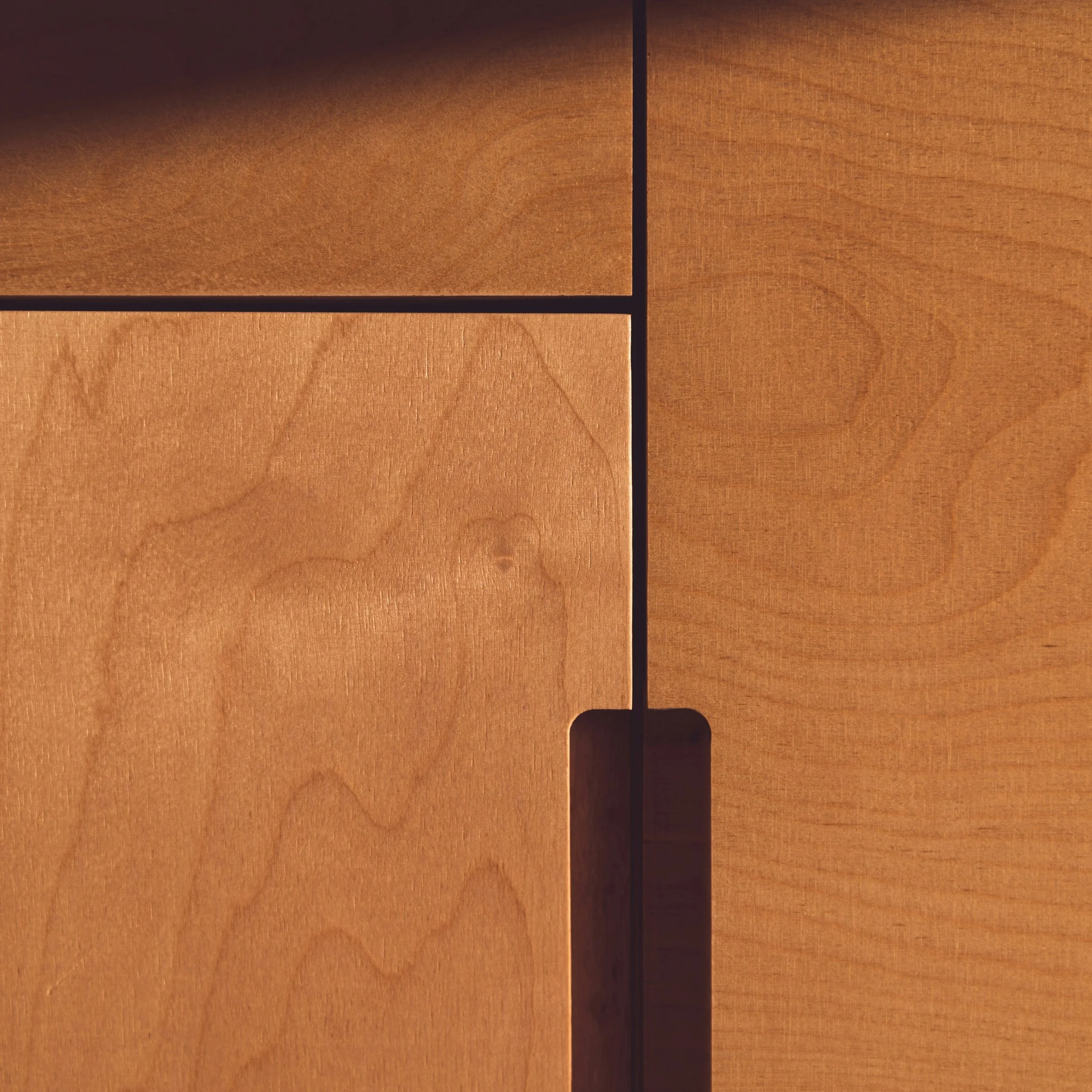 Close-up of a wooden cabinet door with a cutout handle and visible wood grain.