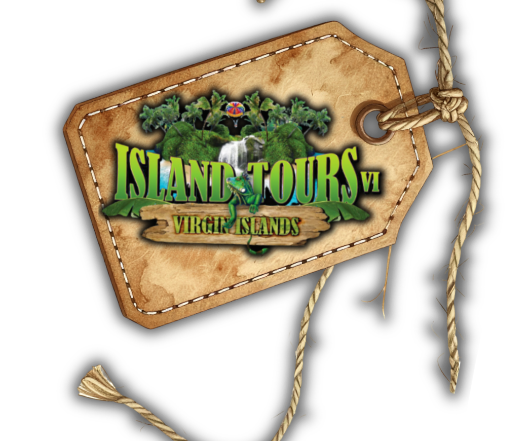 Logo for Island Tours Virgin Islands showing a tropical island with palm trees, a waterfall, and a kayak, on a travel tag with a rope.