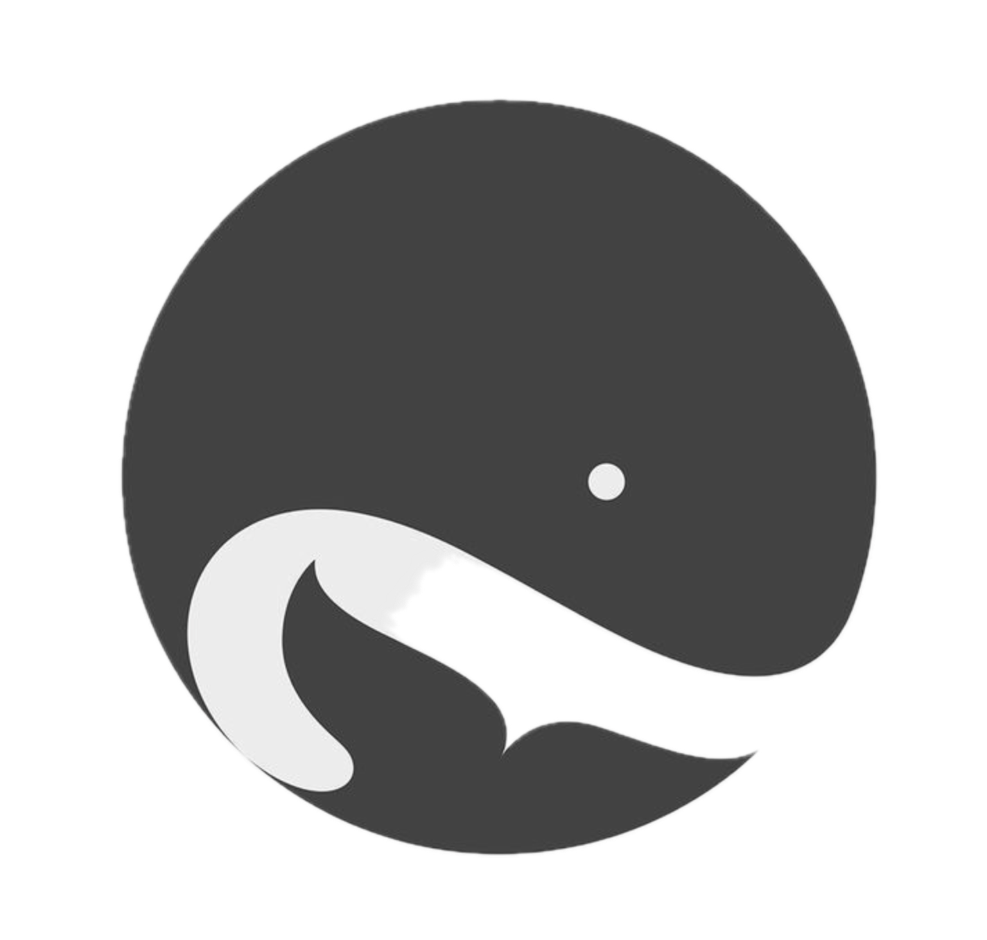 Shy Whales Expeditions 