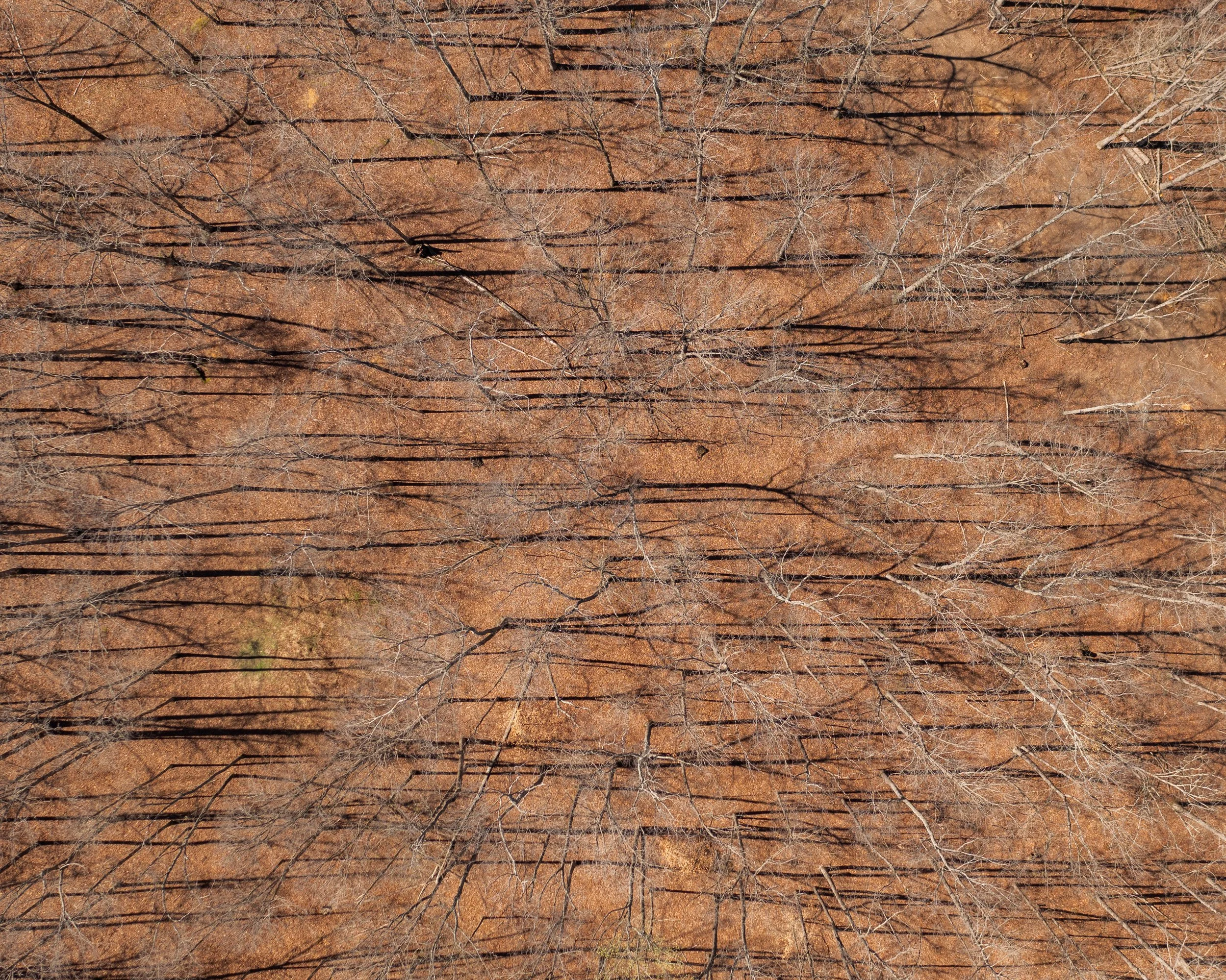 6072 New Hwy 7-6_Original.jpeg