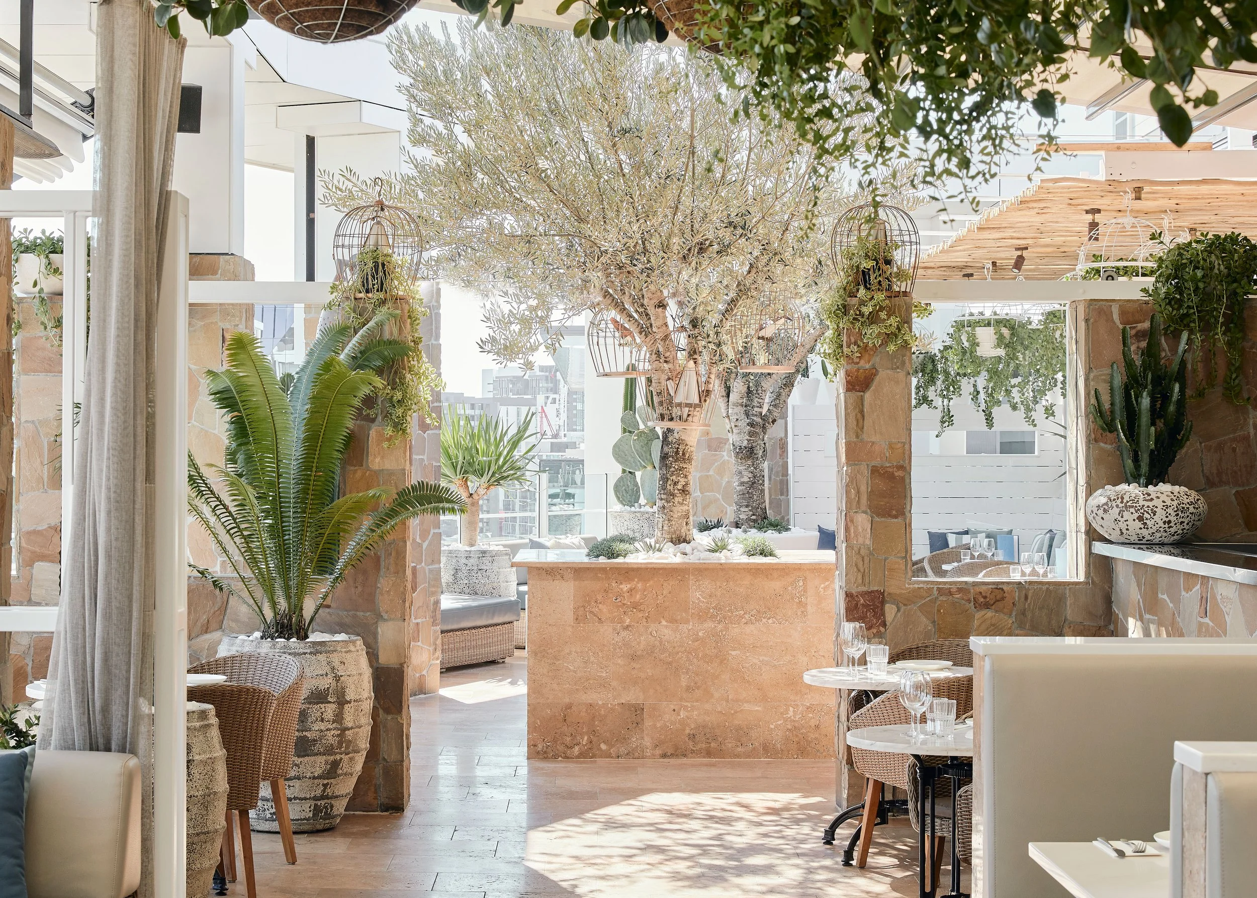 Bright restaurant interior with potted plants, a tree in the center, and seating arrangements.