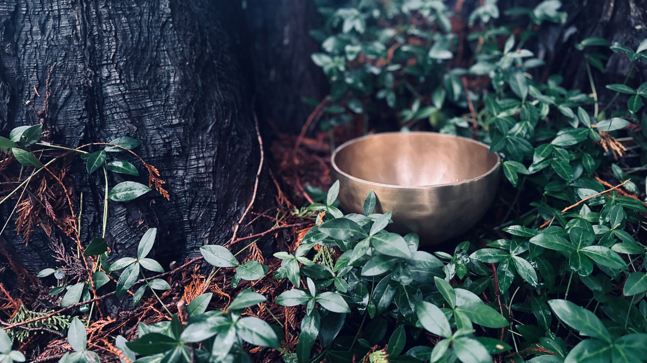 Himalayan and Tibetan singing bowl sitting in the forest understory