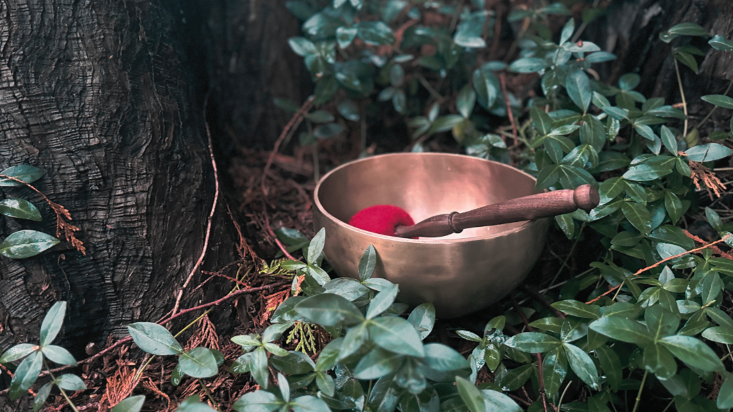 Himalayan and Tibetan singing bowl sitting in an old growth cedar forest