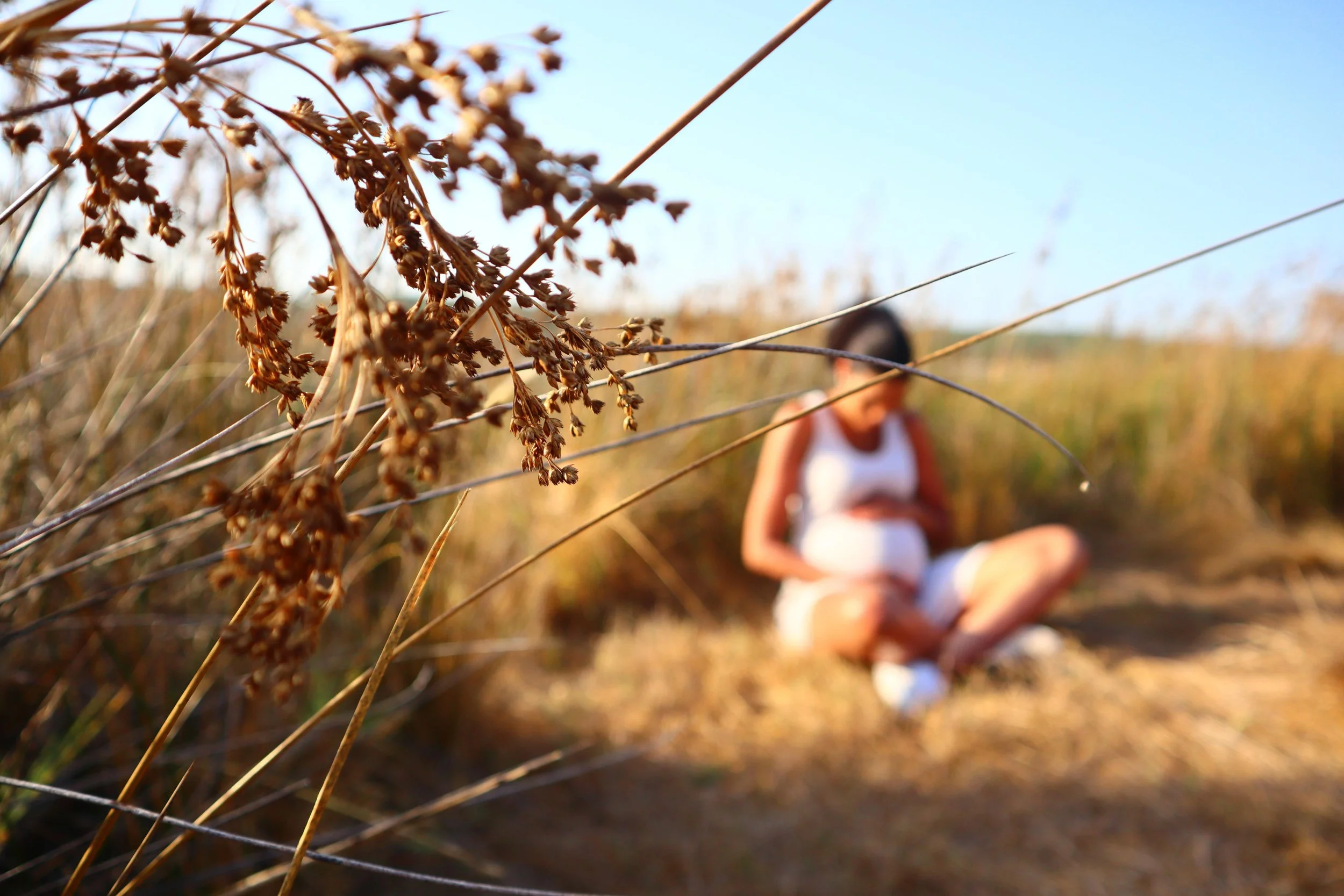pregnant woman sitting in a field