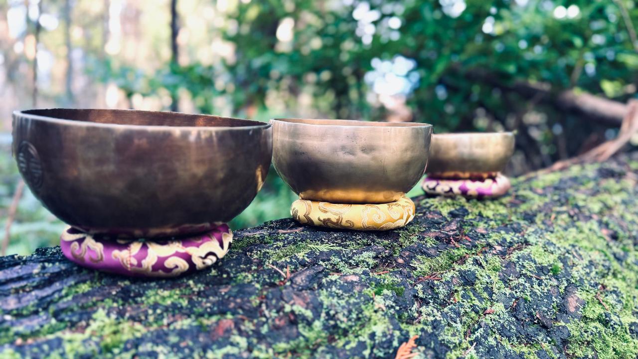 Tibetan and Himalayan Sound Bowls in Nature. Crystal Bowls in an old-growth forest