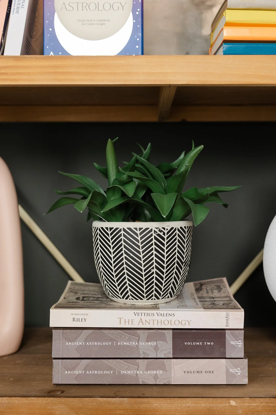 A potted green plant with large leaves in a black and white patterned pot, sitting on top of two books about astrology. The top book is titled "Vettius Valens The Anthology" and the bottom books are volumes one and two of "Ancient Astrology" by Demetra George. In the background, there are additional books on a shelf, including one titled "Astrology".