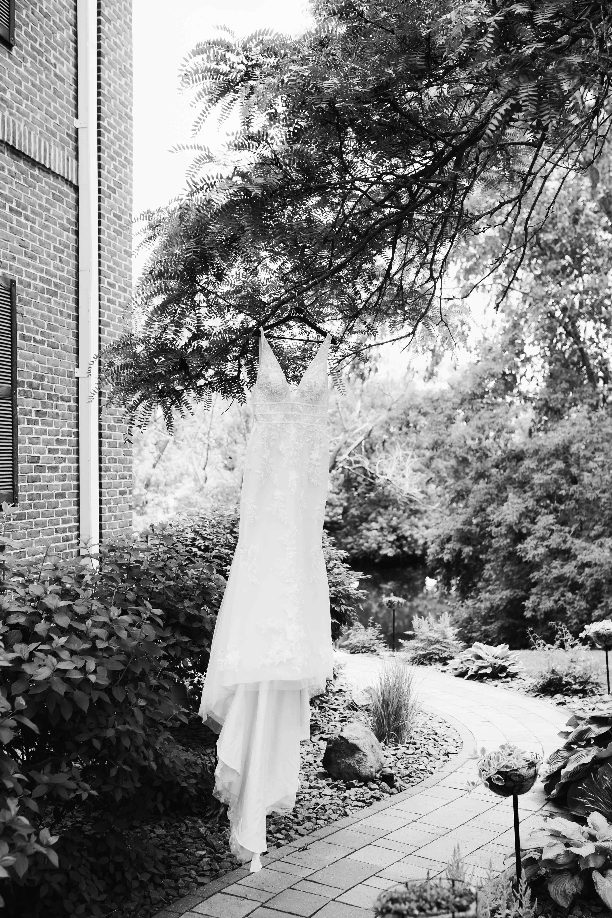 A wedding dress hanging from a tree branch over a garden pathway with shrubs and plants.