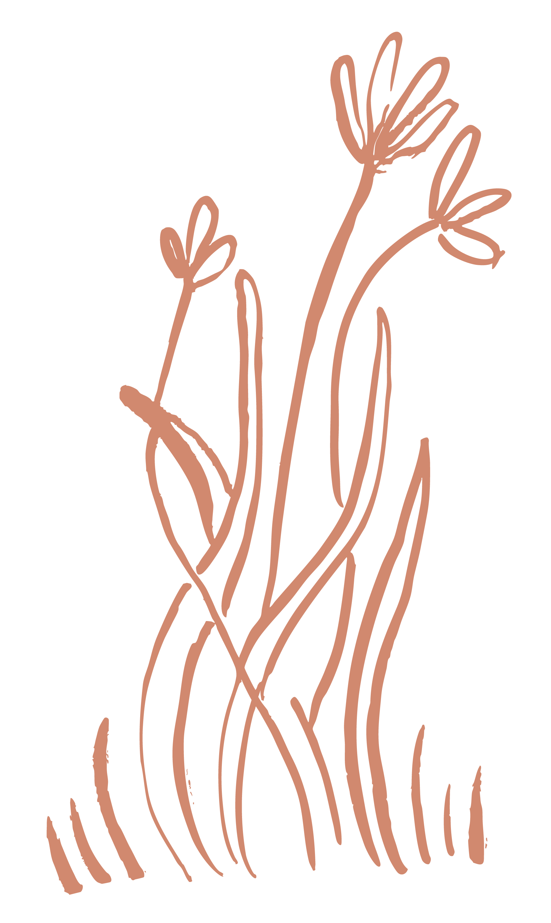 A minimalist line drawing of tall grass and flowers on a black background.
