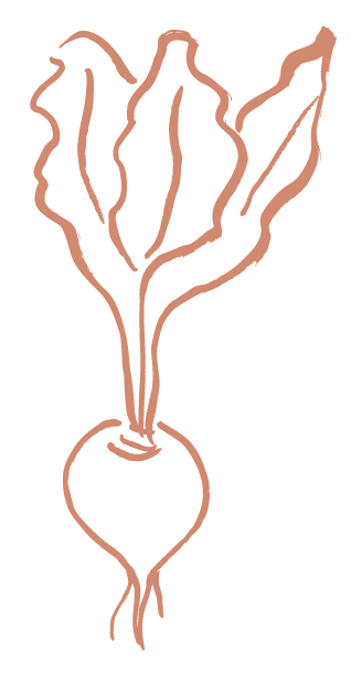 Line drawing of a radish with leafy green top and bulbous root.