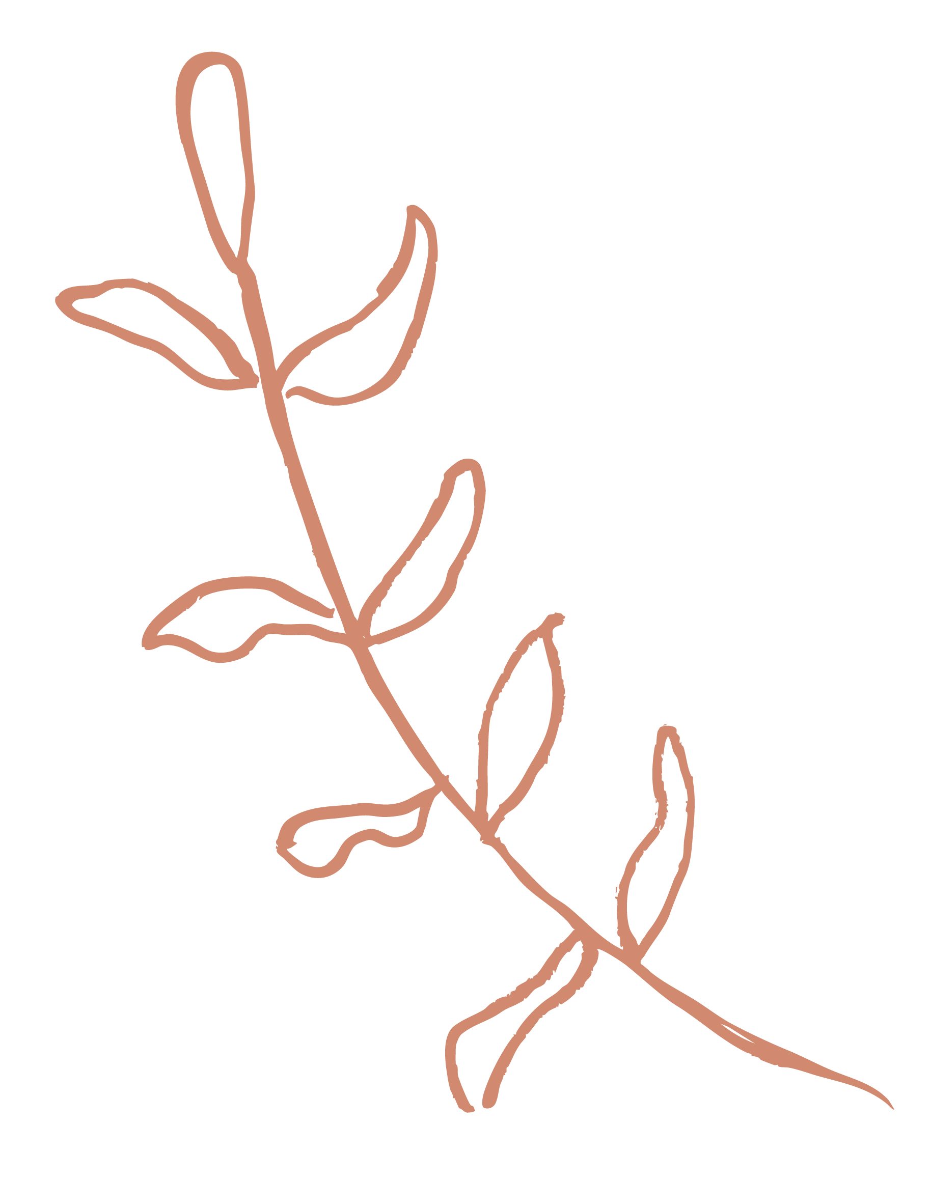 Outline drawing of a wavy, thin plant stem with several elongated leaves branching from it, in a reddish-brown color on a black background.