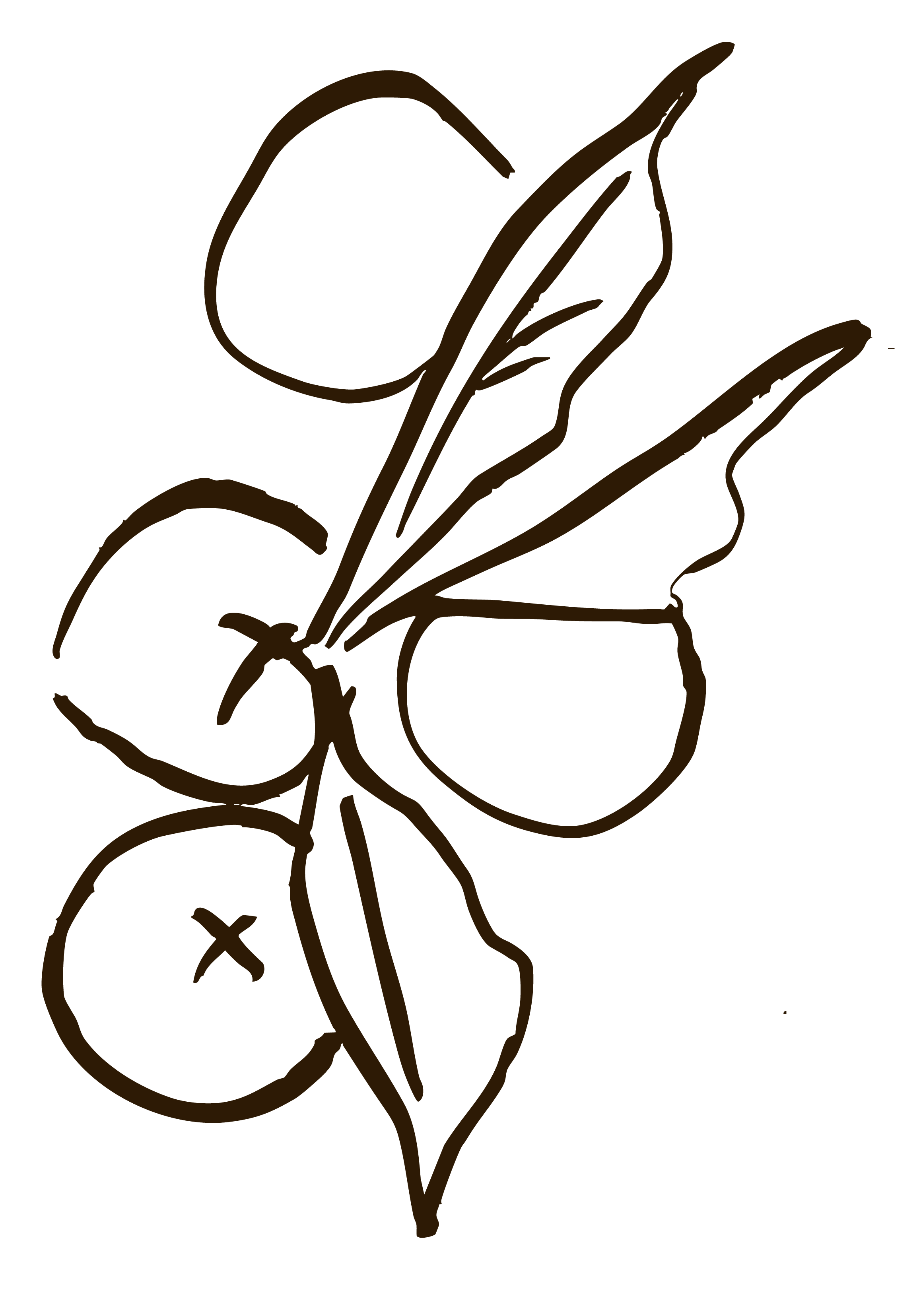 Outline drawing of a bunch of grapes with leaves.